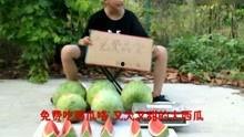 娱乐吃瓜搞笑视频,笑出腹肌的瞬间