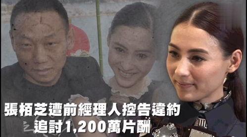 娱乐剪辑吃瓜