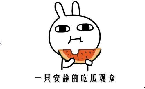 吃瓜视频是什么意思,网络热议背后的娱乐现象